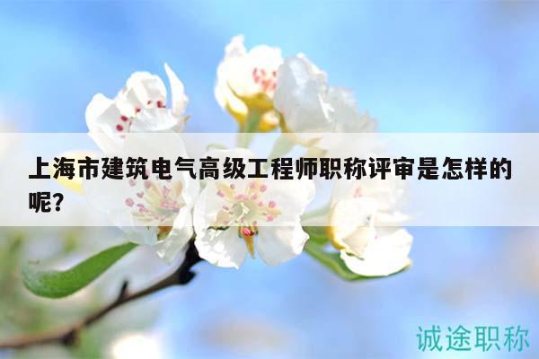 上海市建筑電氣高級(jí)工程師職稱(chēng)評(píng)審是怎樣的呢？
