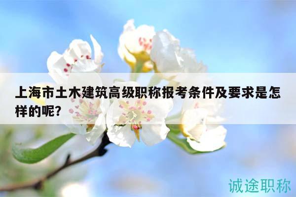 上海市土木建筑高級職稱報(bào)考條件及要求是怎樣的呢？