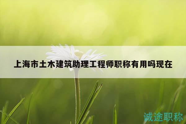 上海市土木建筑助理工程師職稱有用嗎現(xiàn)在