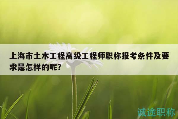 上海市土木工程高級工程師職稱報考條件及要求是怎樣的呢？