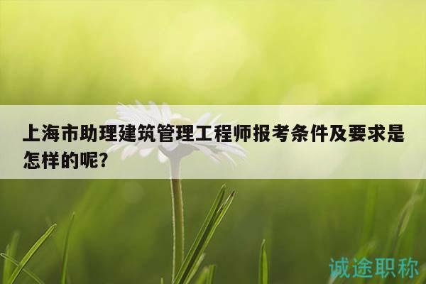 上海市助理建筑管理工程師報(bào)考條件及要求是怎樣的呢？