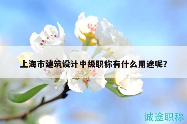 上海市建筑設(shè)計(jì)中級(jí)職稱有什么用途呢？