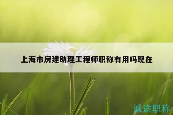 上海市房建助理工程師職稱有用嗎現(xiàn)在