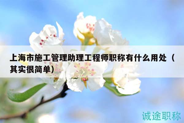 上海市施工管理助理工程師職稱有什么用處（其實很簡單）