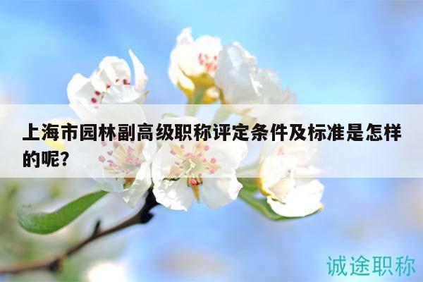 上海市園林副高級職稱評定條件及標(biāo)準(zhǔn)是怎樣的呢？