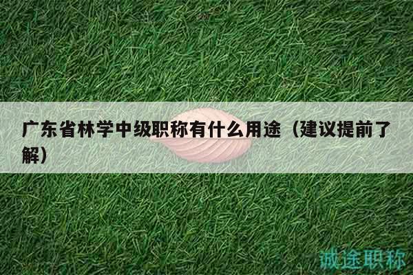 廣東省林學中級職稱有什么用途（建議提前了解）