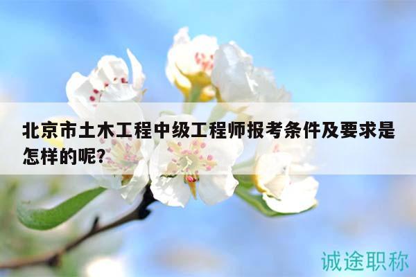 北京市土木工程中級工程師報考條件及要求是怎樣的呢？