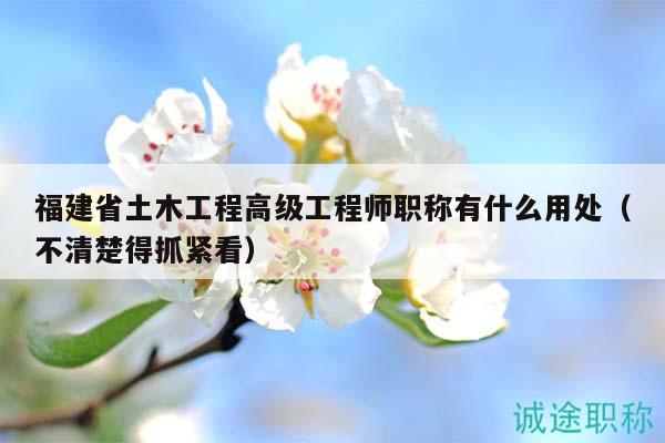 福建省土木工程高級工程師職稱有什么用處（不清楚得抓緊看）