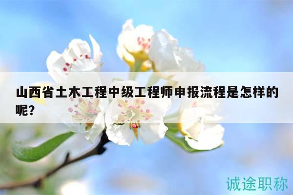山西省土木工程中級工程師申報流程是怎樣的呢？
