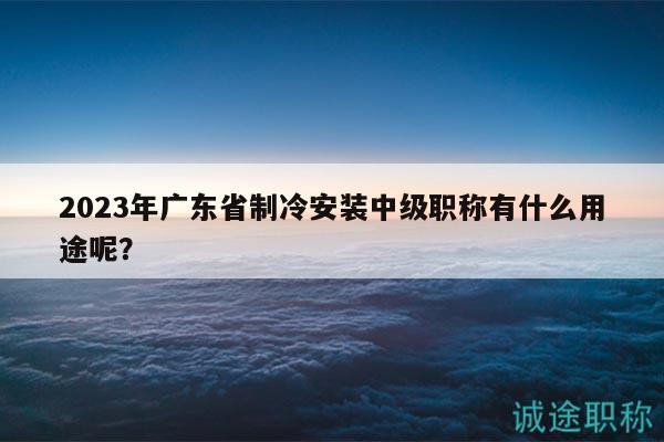 2023年廣東省制冷安裝中級(jí)職稱(chēng)有什么用途呢？