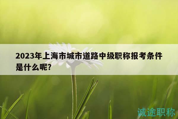 2023年上海市城市道路中級職稱報考條件是什么呢？