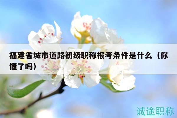 福建省城市道路初級職稱報考條件是什么（你懂了嗎）