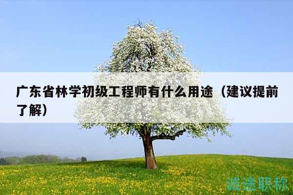 廣東省林學(xué)初級(jí)工程師有什么用途（建議提前了解）