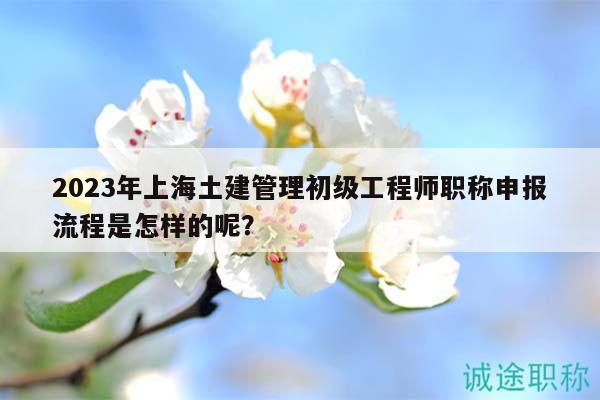 2023年上海土建管理初級(jí)工程師職稱申報(bào)流程是怎樣的呢？