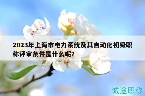 2023年上海市電力系統(tǒng)及其自動(dòng)化初級(jí)職稱評(píng)審條件是什么呢？