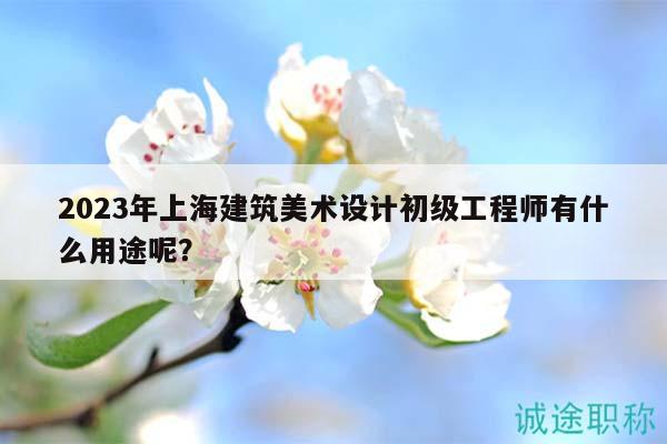 2023年上海建筑美術(shù)設(shè)計(jì)初級(jí)工程師有什么用途呢？