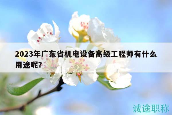 2023年廣東省機(jī)電設(shè)備高級(jí)工程師有什么用途呢？