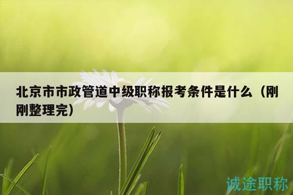 北京市市政管道中級職稱報考條件是什么（剛剛整理完）