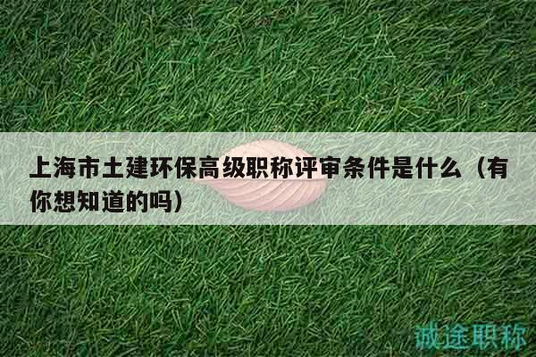 上海市土建環(huán)保高級(jí)職稱評(píng)審條件是什么（有你想知道的嗎）