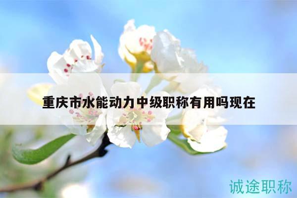 重慶市水能動(dòng)力中級(jí)職稱有用嗎現(xiàn)在