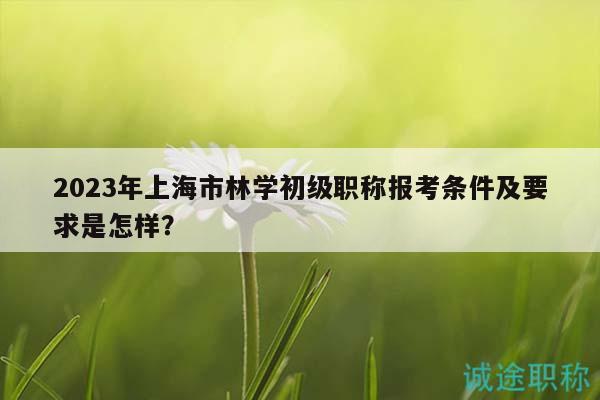 2023年上海市林學(xué)初級職稱報(bào)考條件及要求是怎樣？