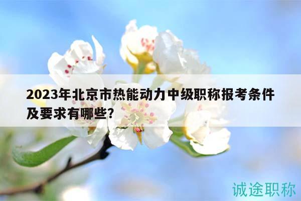 2023年北京市熱能動(dòng)力中級職稱報(bào)考條件及要求有哪些？