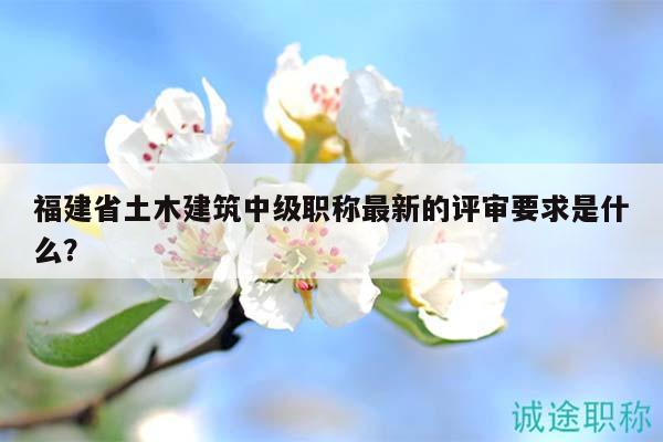 福建省土木建筑中級職稱最新的評審要求是什么？