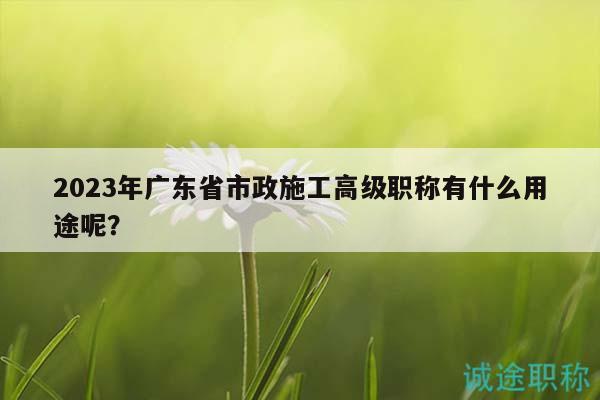 2023年廣東省市政施工高級(jí)職稱(chēng)有什么用途呢？
