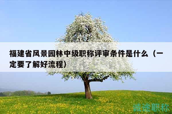 福建省風景園林中級職稱評審條件是什么（一定要了解好流程）