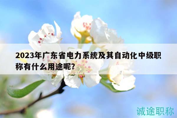 2023年廣東省電力系統(tǒng)及其自動化中級職稱有什么用途呢？