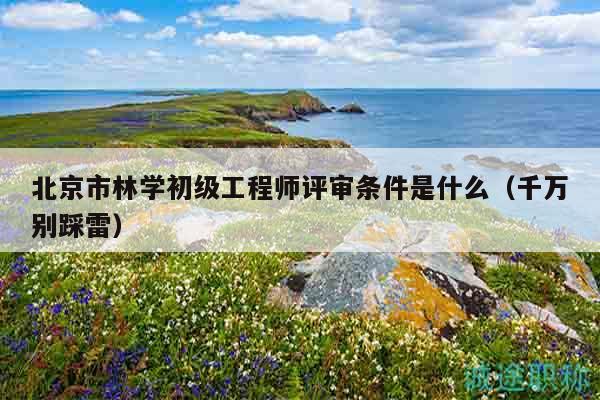 北京市林學(xué)初級工程師評審條件是什么（千萬別踩雷）