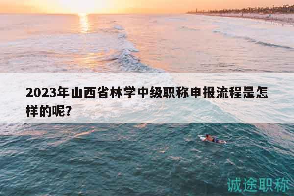 2023年山西省林學中級職稱申報流程是怎樣的呢？