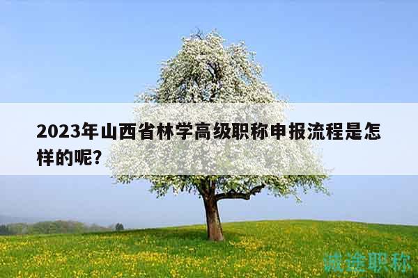 2023年山西省林學(xué)高級職稱申報流程是怎樣的呢？