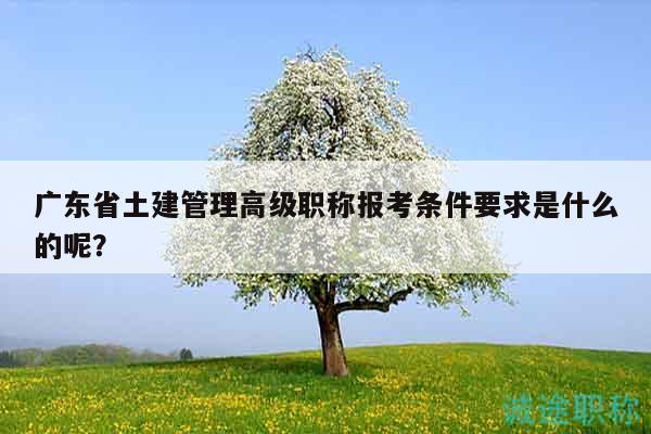 廣東省土建管理高級職稱報考條件要求是什么的呢？