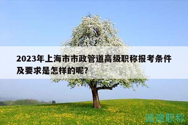 2023年上海市市政管道高級(jí)職稱(chēng)報(bào)考條件及要求是怎樣的呢？