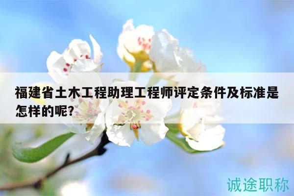 福建省土木工程助理工程師評定條件及標(biāo)準(zhǔn)是怎樣的呢？