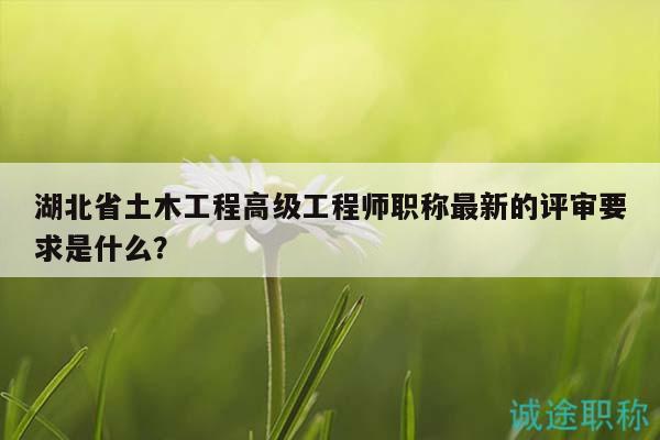 湖北省土木工程高級(jí)工程師職稱最新的評(píng)審要求是什么？
