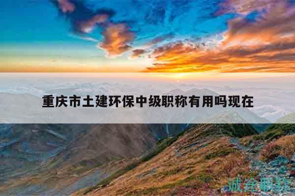 重慶市土建環(huán)保中級(jí)職稱有用嗎現(xiàn)在