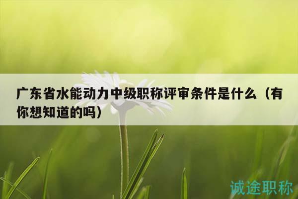 廣東省水能動力中級職稱評審條件是什么（有你想知道的嗎）