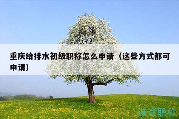 重慶給排水初級職稱怎么申請（這些方式都可申請）