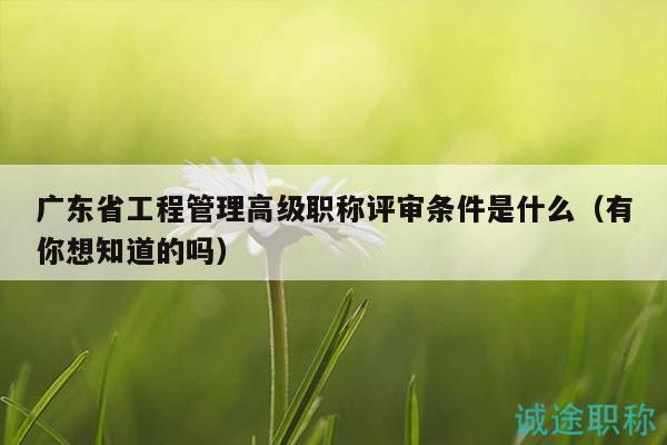 廣東省工程管理高級(jí)職稱評(píng)審條件是什么（有你想知道的嗎）
