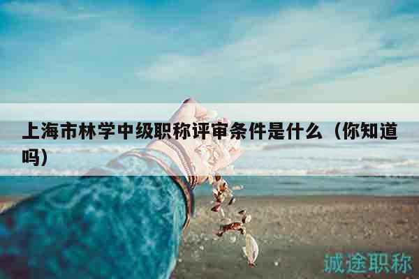 上海市林學(xué)中級職稱評審條件是什么（你知道嗎）