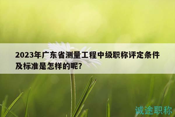 2023年廣東省測量工程中級職稱評定條件及標(biāo)準(zhǔn)是怎樣的呢？