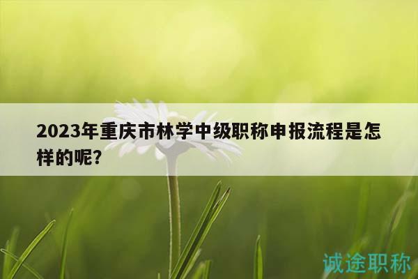 2023年重慶市林學(xué)中級(jí)職稱申報(bào)流程是怎樣的呢？