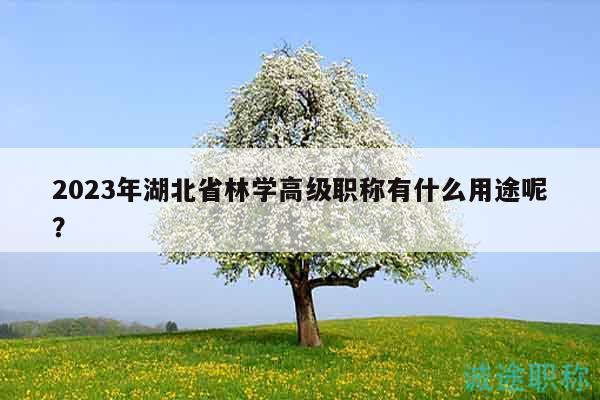 2023年湖北省林學高級職稱有什么用途呢？