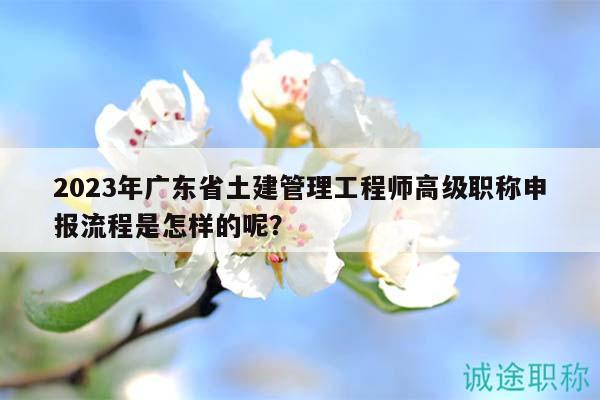 2023年廣東省土建管理工程師高級職稱申報流程是怎樣的呢？