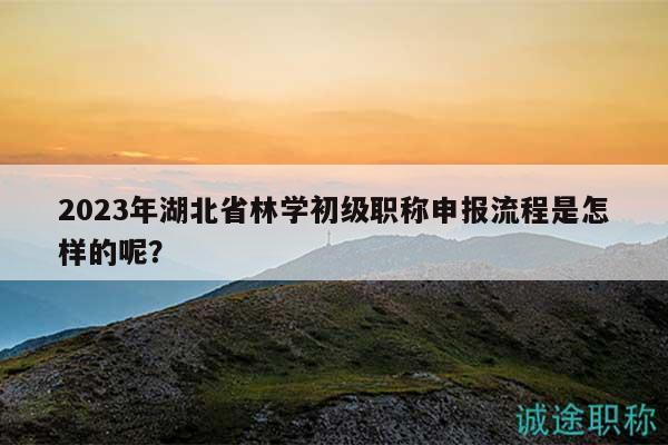 2023年湖北省林學(xué)初級職稱申報流程是怎樣的呢？