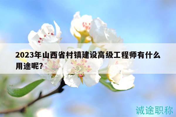 2023年山西省村鎮(zhèn)建設(shè)高級工程師有什么用途呢？