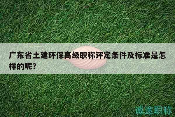 廣東省土建環(huán)保高級(jí)職稱評(píng)定條件及標(biāo)準(zhǔn)是怎樣的呢？