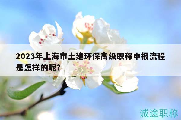 2023年上海市土建環(huán)保高級職稱申報流程是怎樣的呢？